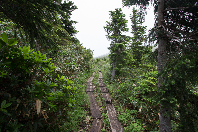 b0244811_22444419.jpg