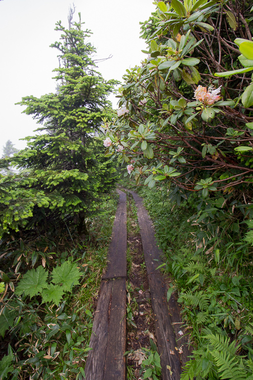 b0244811_22483694.jpg