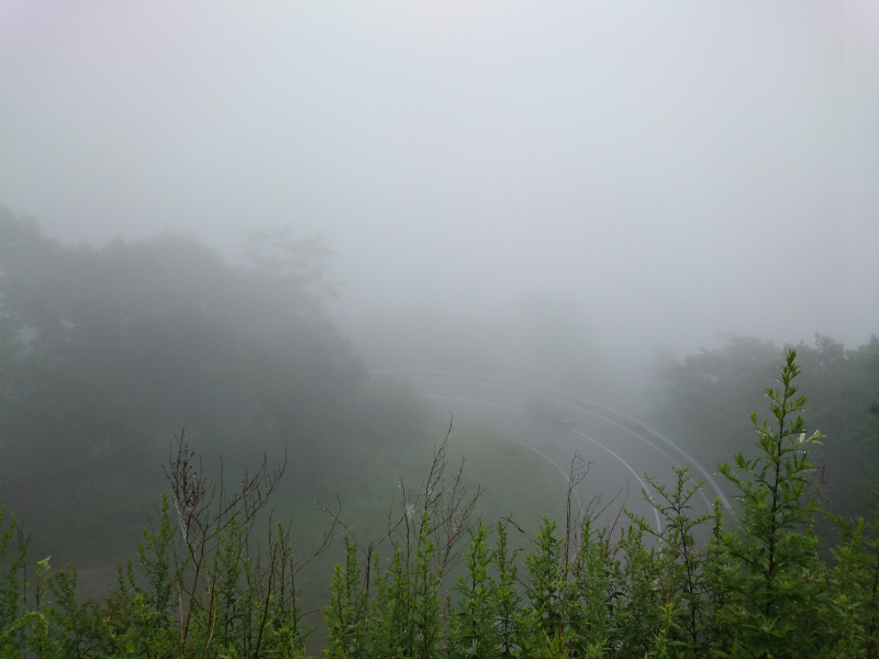 f0100911_22142638.jpg