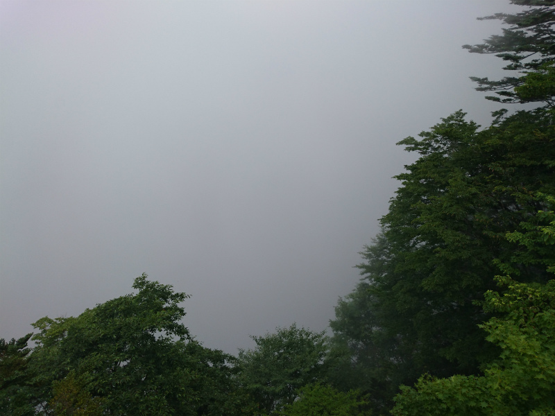 f0100911_2215996.jpg