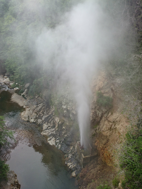 f0100911_22165367.jpg