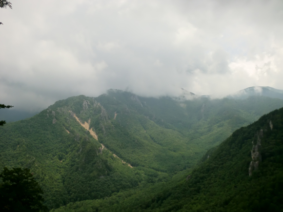 c0210618_16062976.jpg