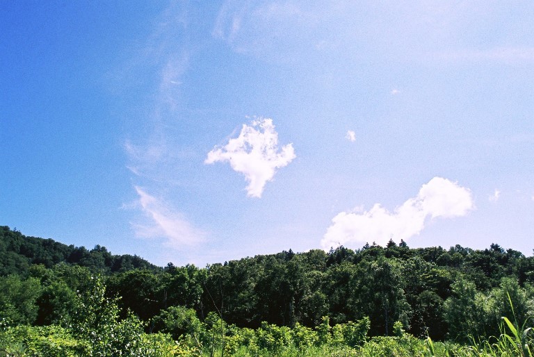 f0362725_14311575.jpg