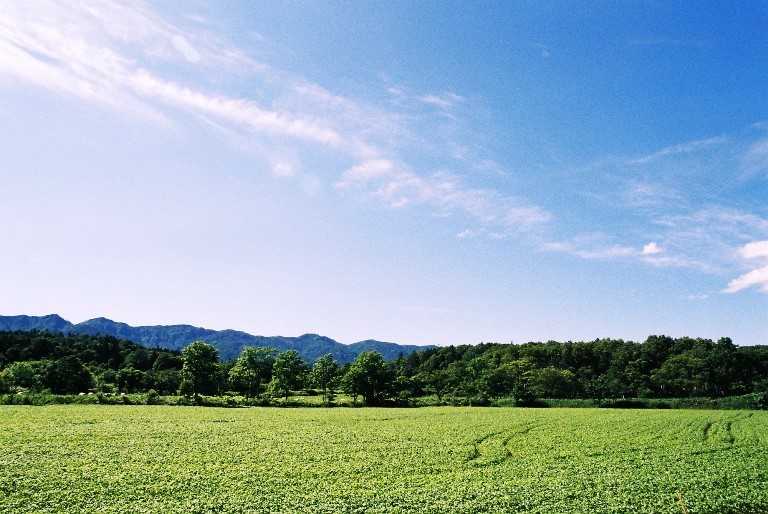 f0362725_14312138.jpg