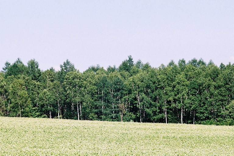 f0362725_14315091.jpg
