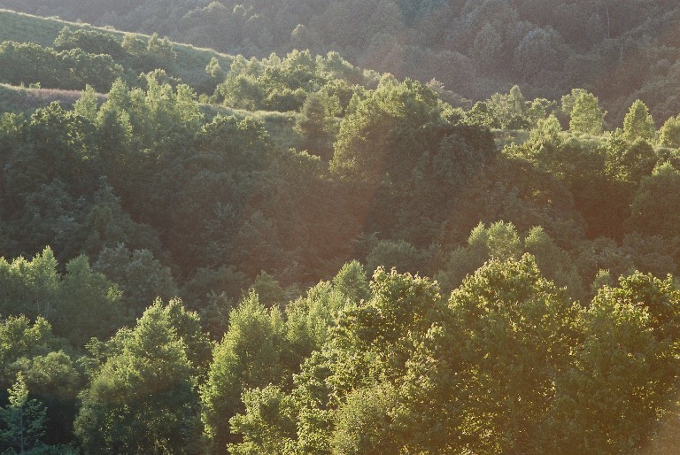 f0362725_14321907.jpg