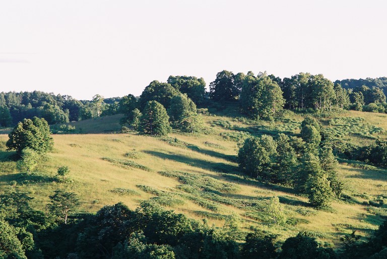 f0362725_14322133.jpg