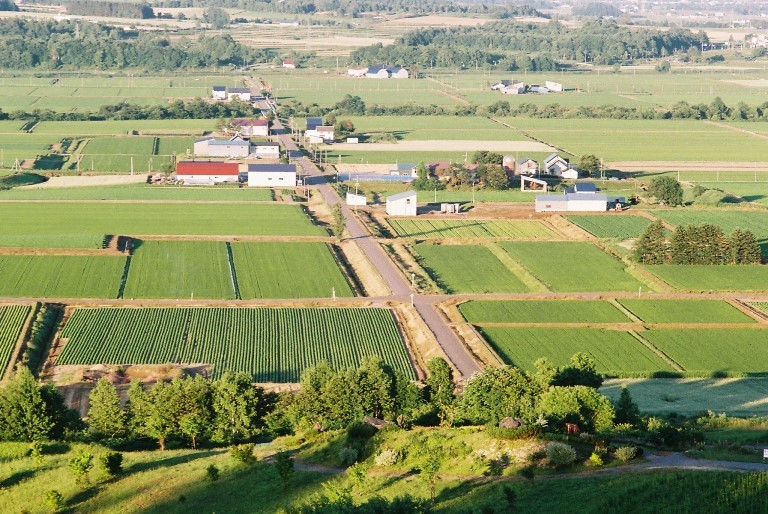 f0362725_14323003.jpg