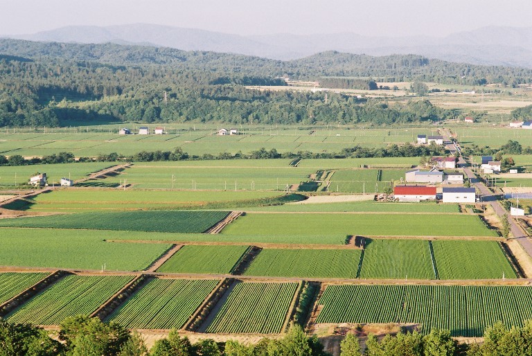 f0362725_14323207.jpg