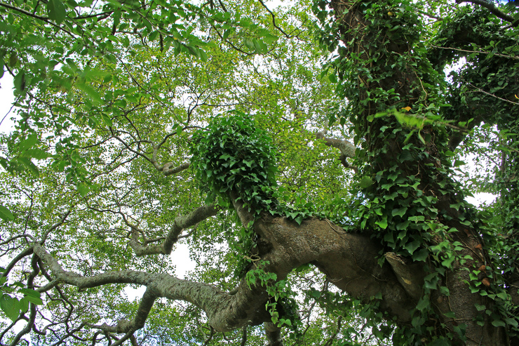 c0104227_10211550.jpg
