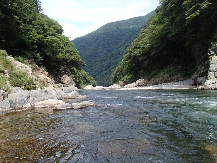 d0172227_20222320.jpg