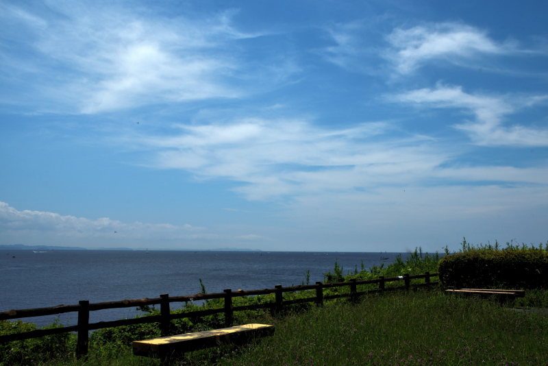 a0318033_23441916.jpg