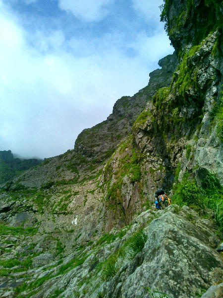 d0107938_12405516.jpg