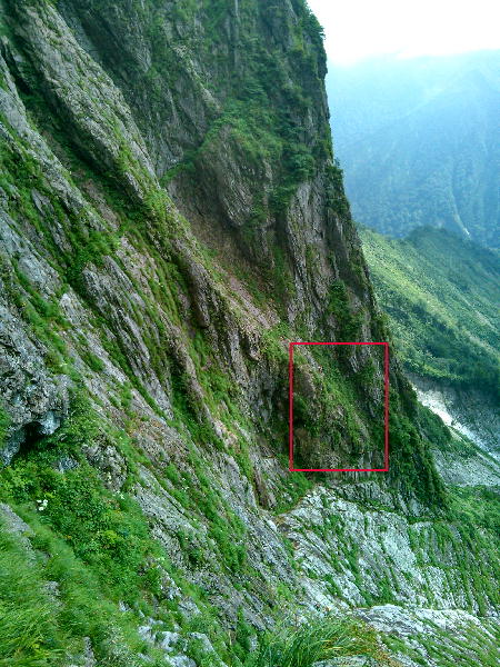 d0107938_12472471.jpg