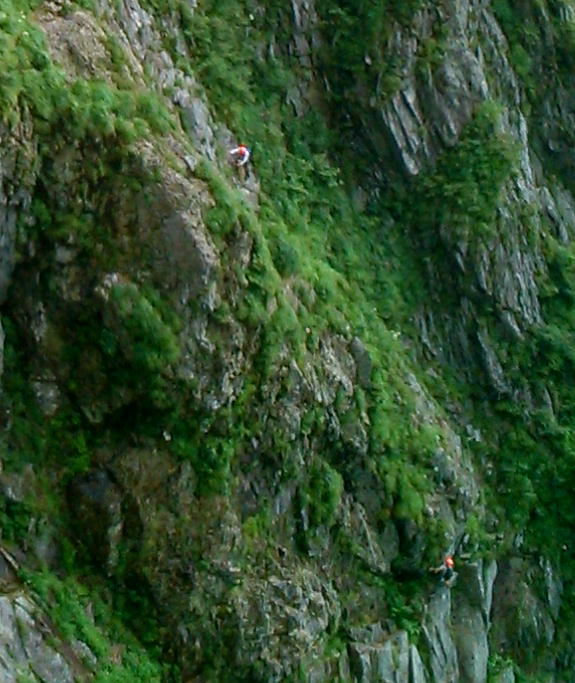 d0107938_12483387.jpg
