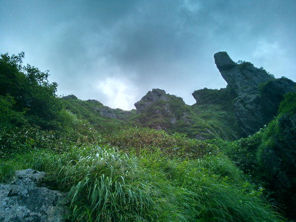 d0107938_1255857.jpg