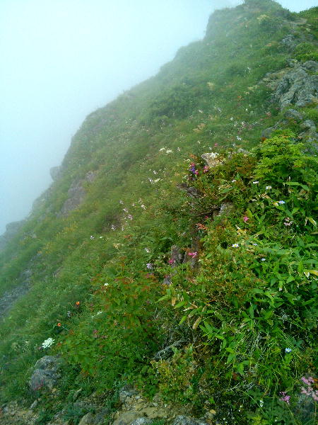 d0107938_1343260.jpg