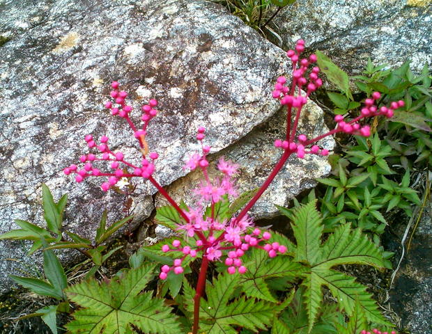 d0107938_1352163.jpg