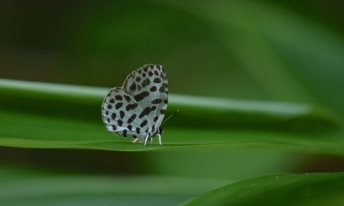 d0285540_18564774.jpg