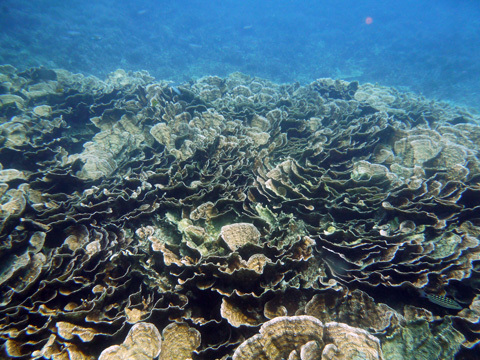 f0014842_18403715.jpg