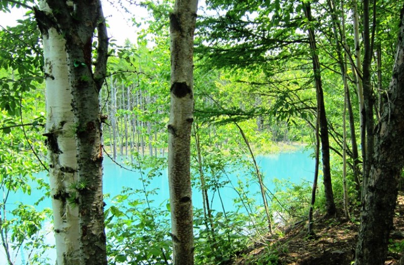 b0289649_11553627.jpg