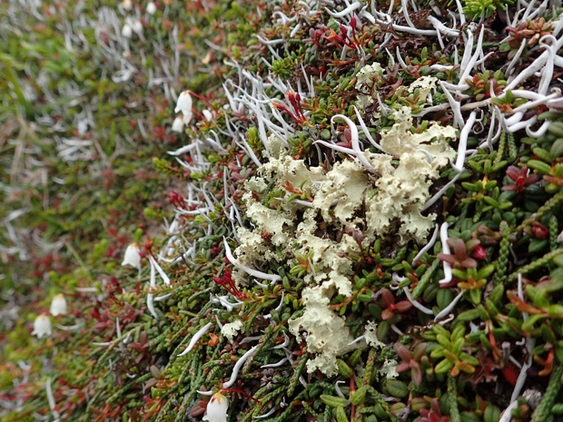 f0214649_17292911.jpg
