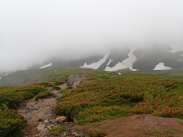 f0214649_21201374.jpg