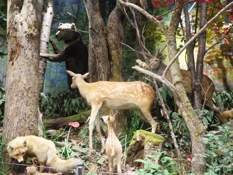 f0202151_1529018.jpg