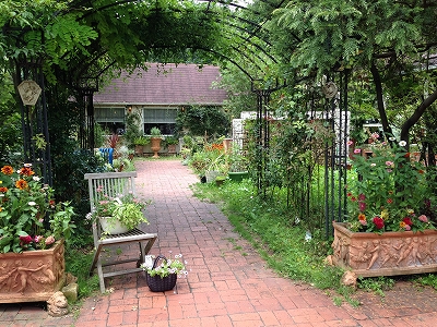 d0031853_327437.jpg