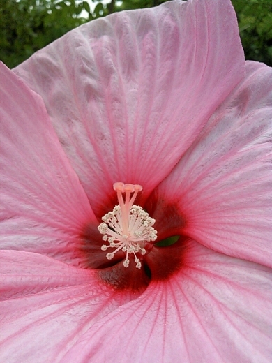 a0018655_13222189.jpg