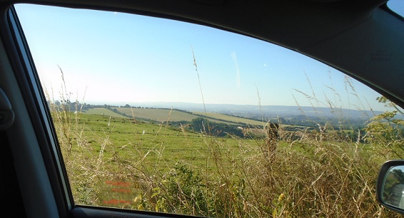 e0010856_8524077.jpg
