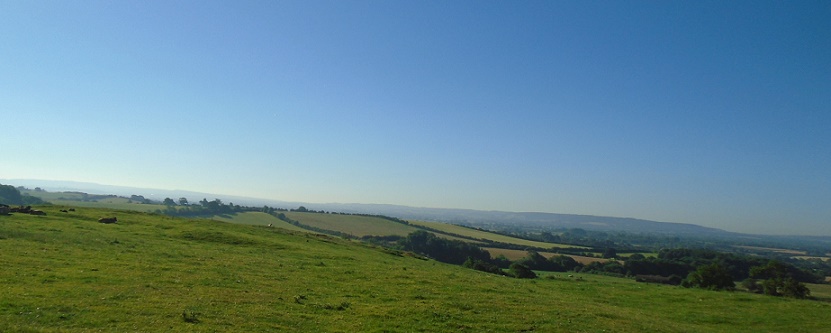 e0010856_8535079.jpg