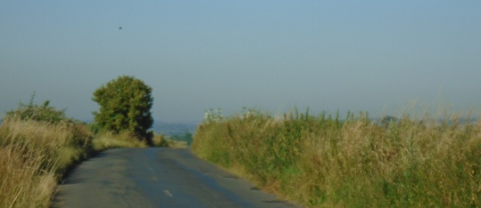 e0010856_854225.jpg