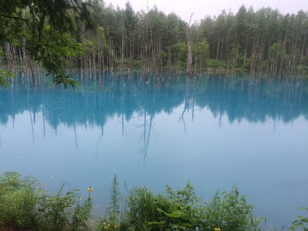 f0207059_21224846.jpg