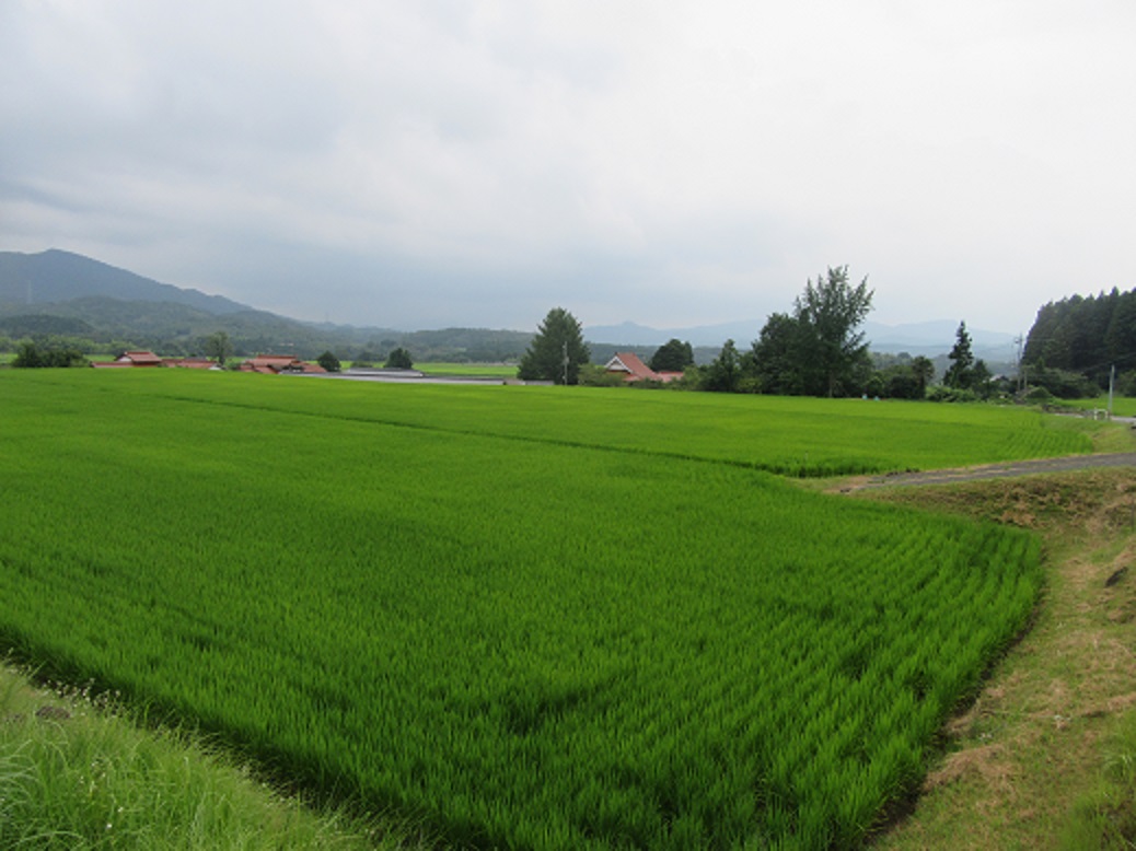 f0113862_2157564.jpg