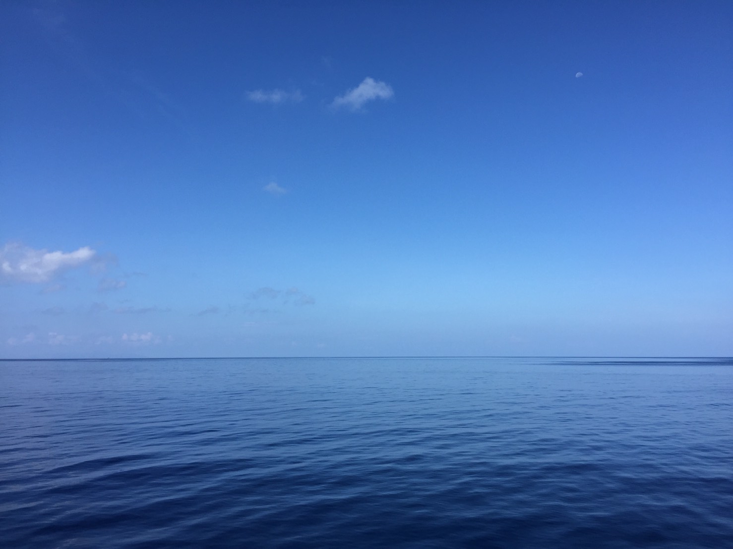 b0062363_21173258.jpg