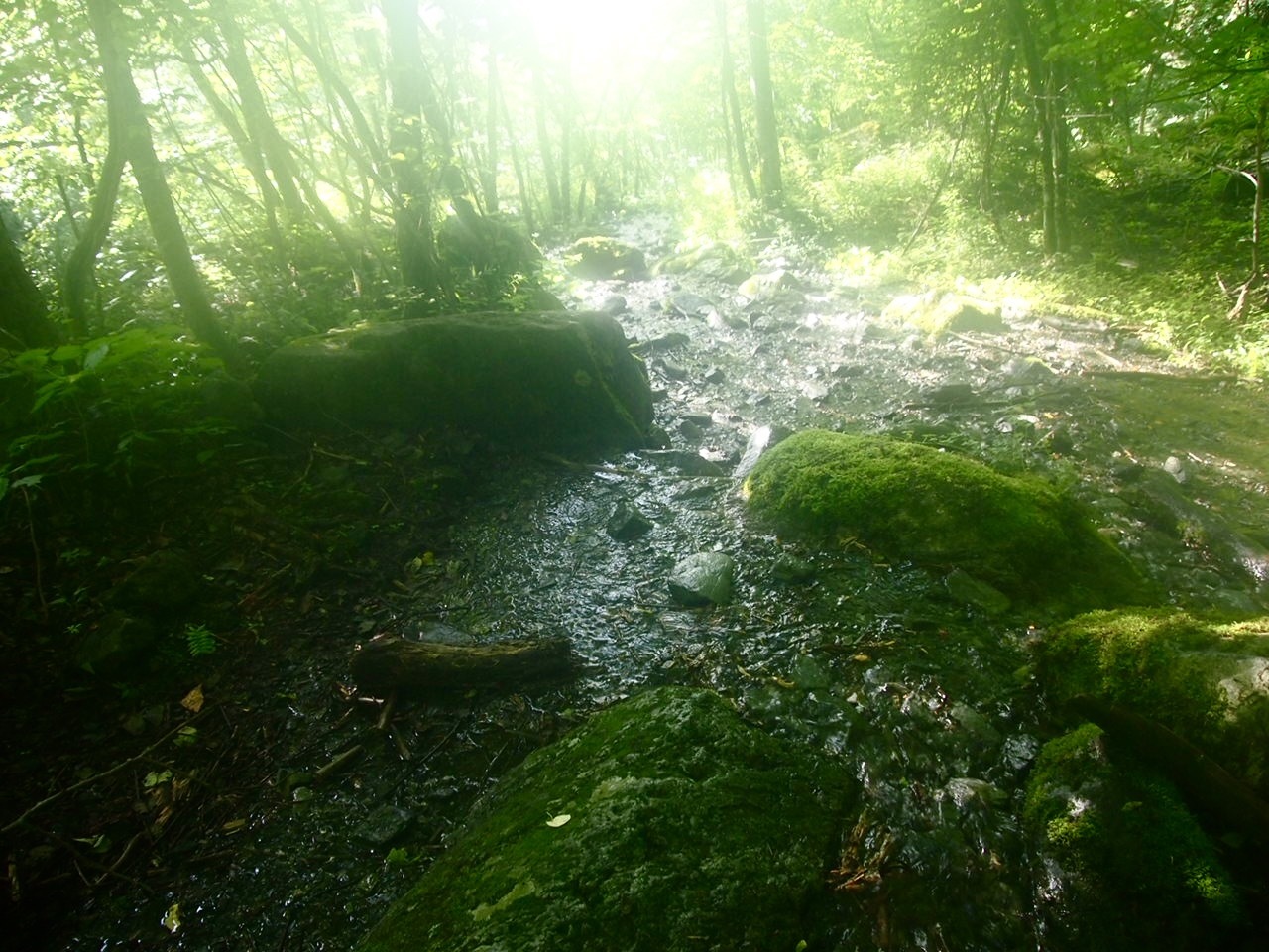 c0321967_18432056.jpeg