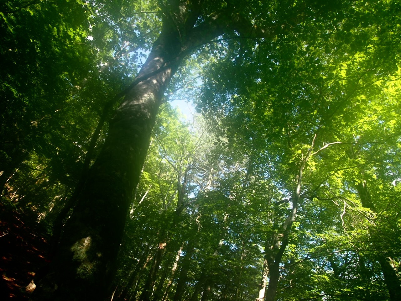 c0321967_18433221.jpeg
