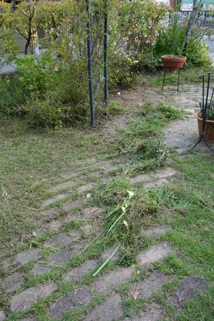 c0216472_7522252.jpg