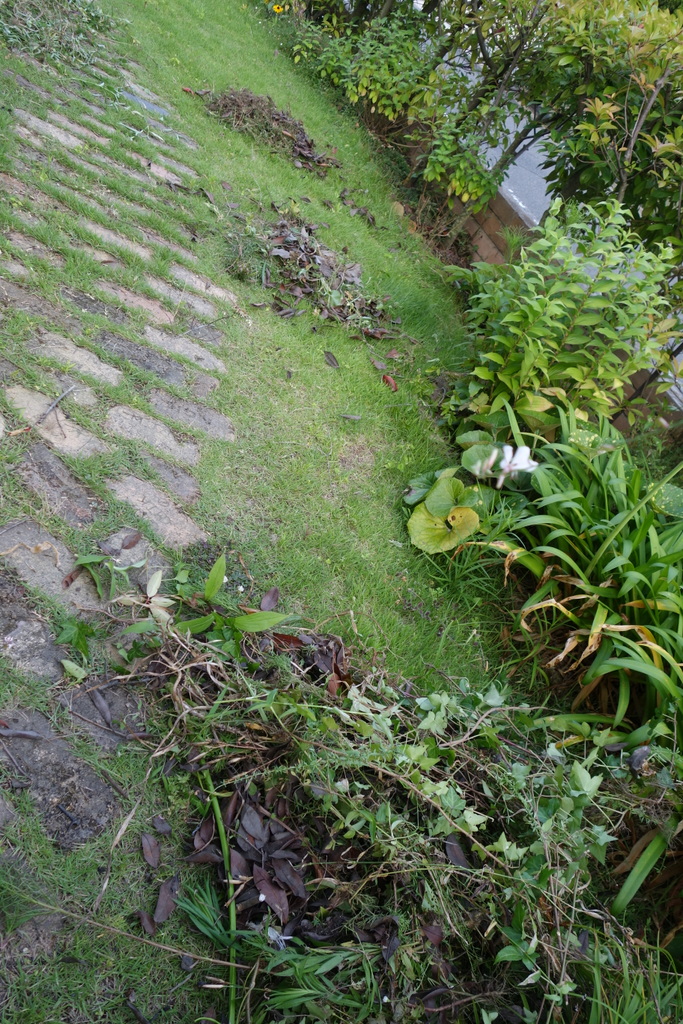 c0216472_7523575.jpg