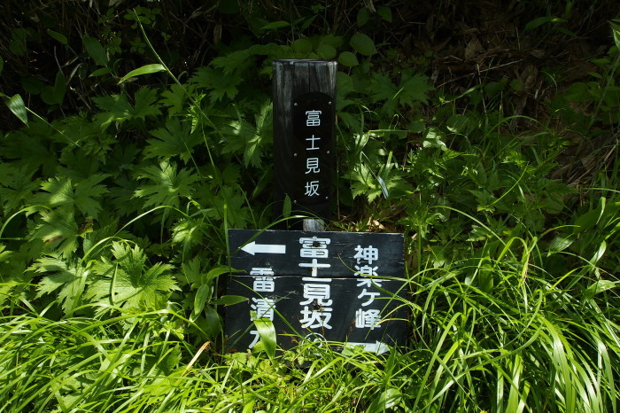 e0307372_13054082.jpg