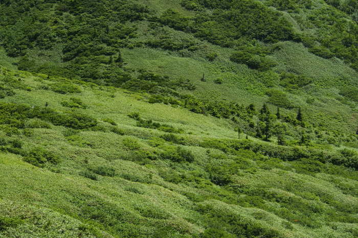 e0307372_13541497.jpg