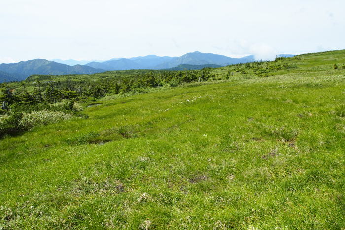 e0307372_14021420.jpg