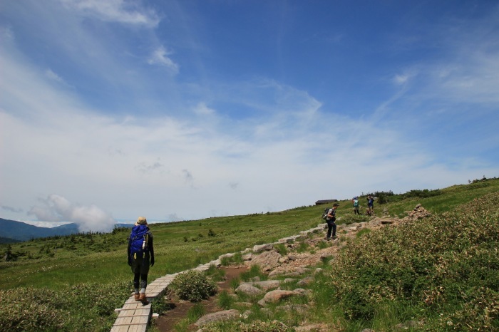 e0307372_14252342.jpg