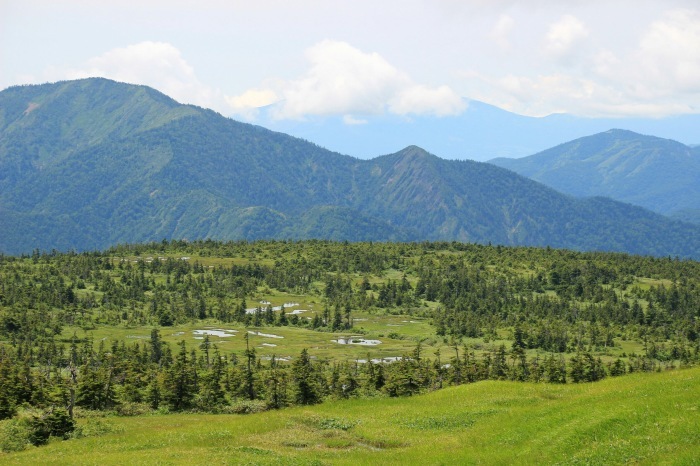 e0307372_14420084.jpg
