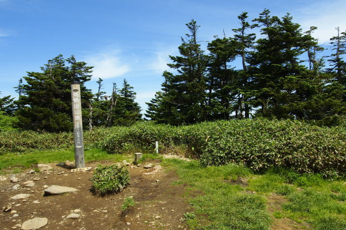 e0307372_14565125.jpg