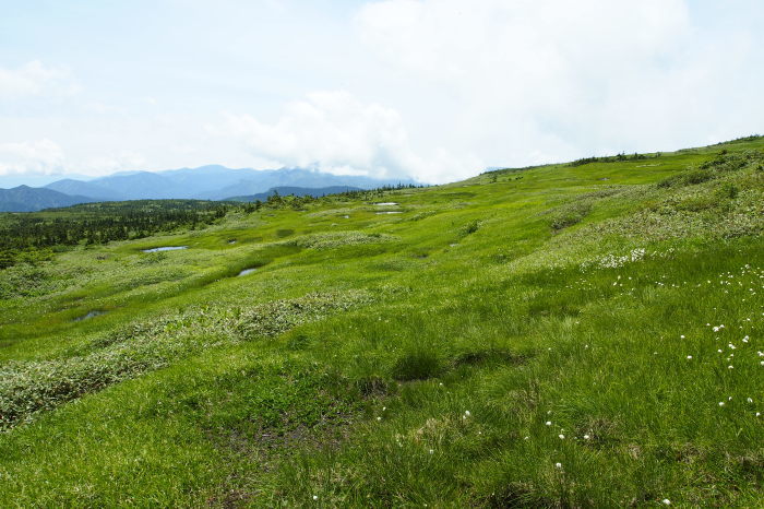 e0307372_15113751.jpg