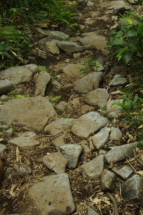 e0307372_15190709.jpg