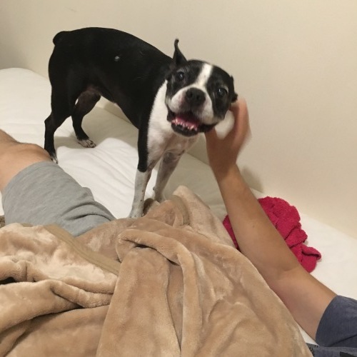d0041575_21231997.jpeg