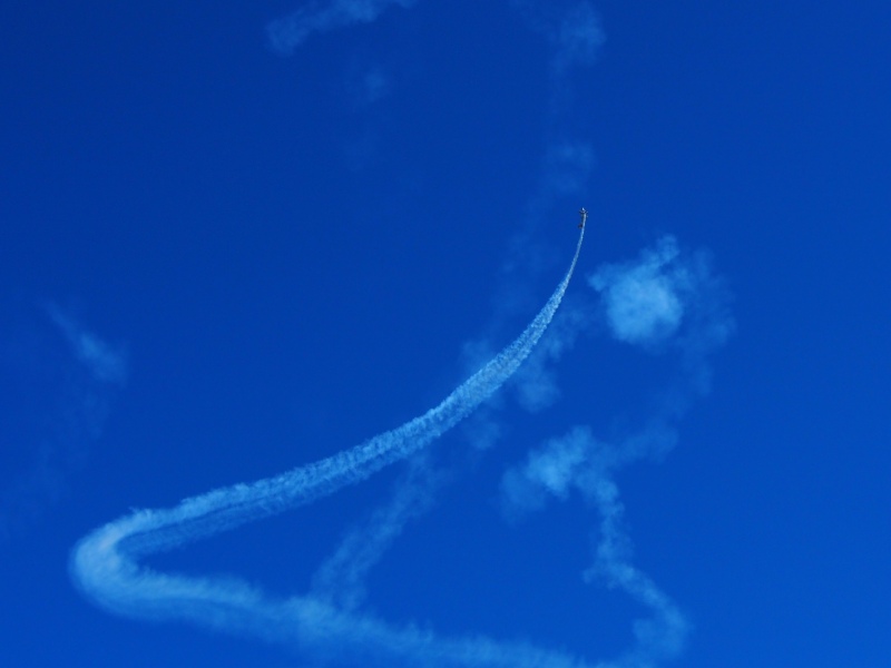 c0183777_942778.jpg